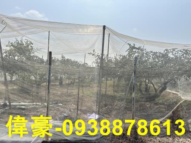 高雄燕巢農地-0