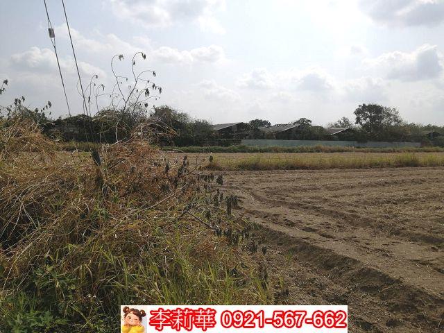 關廟農地-3