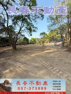 8K090出礦坑旱林