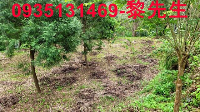 新竹農地新竹山坡地新竹休閒地新竹景觀地小坪數農地露