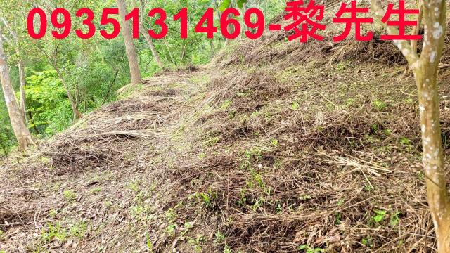 芎林水坑芎林土地