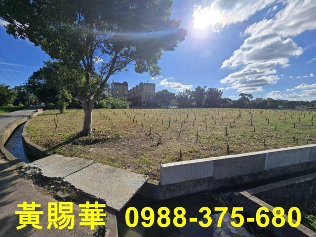 桃園農地-4