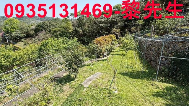 新竹關西農地-6