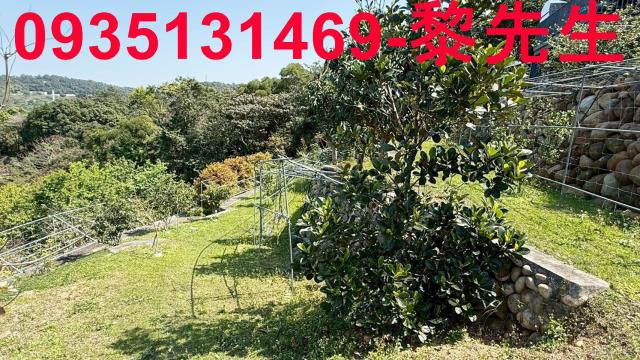 新竹關西農地-7