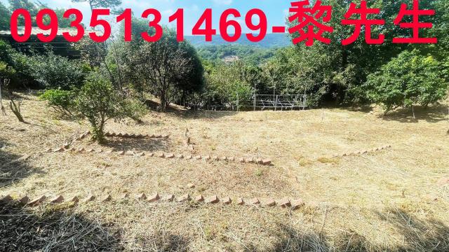 新竹新埔農地-1