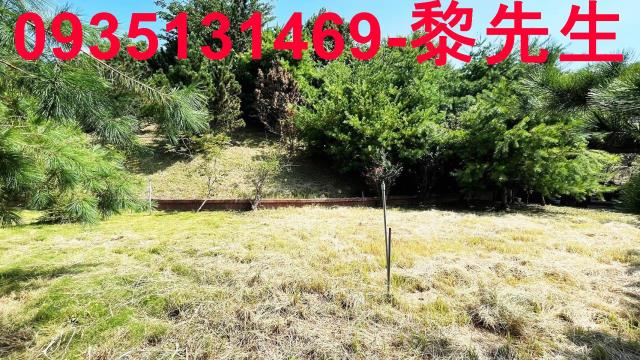 新竹新埔農地-3