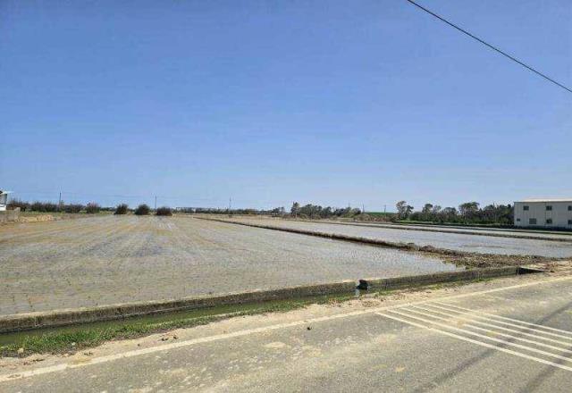 桃園觀音農地-3