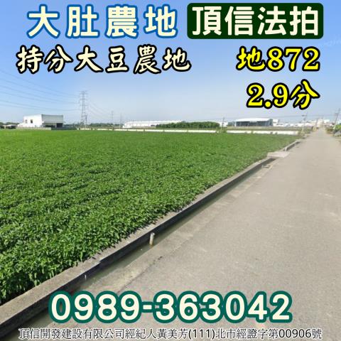 大肚法拍農地-1