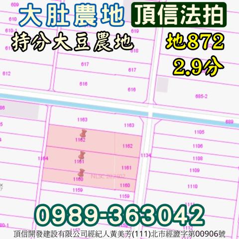 大肚法拍農地-2