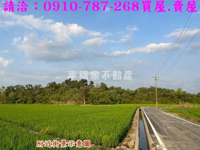 官田農地-9