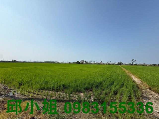 水上交流道庄內旁活巷美農地