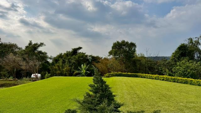 新竹關西農地-6