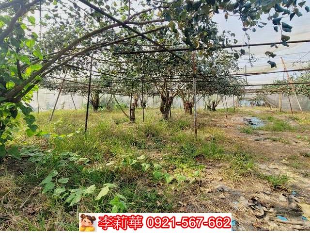 高雄燕巢農地-10