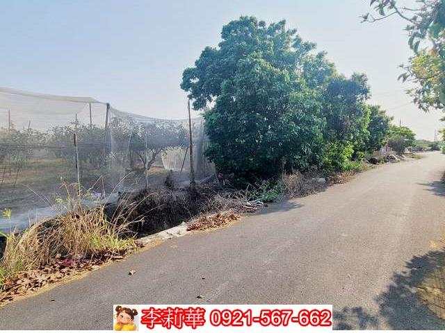 高雄燕巢農地-1