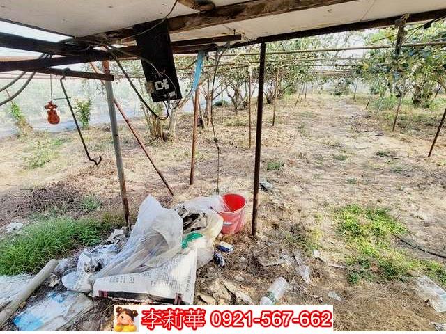 高雄燕巢農地-7