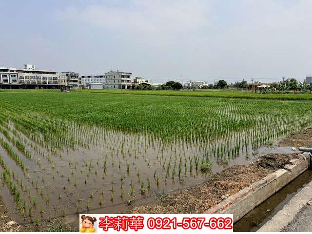 高雄林園農地-2