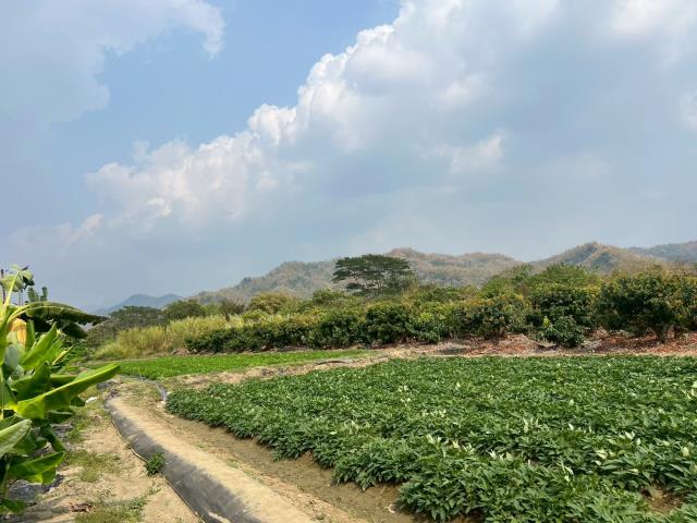 高雄美濃農地-9