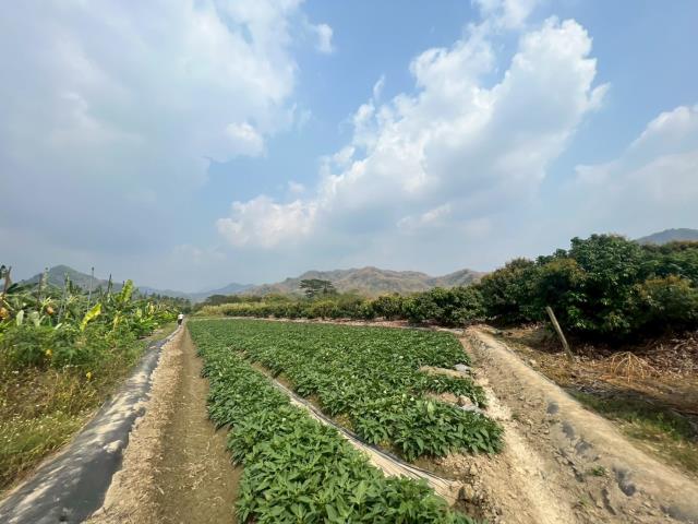 高雄美濃農地-12