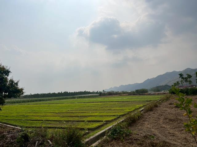 高雄美濃農地-13