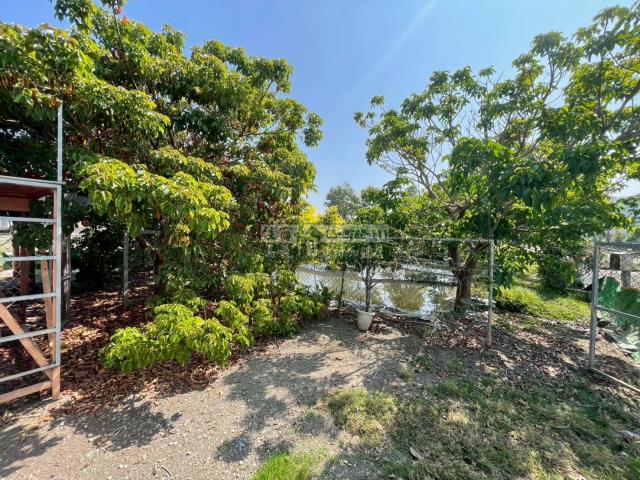 嘉義民雄農地-6