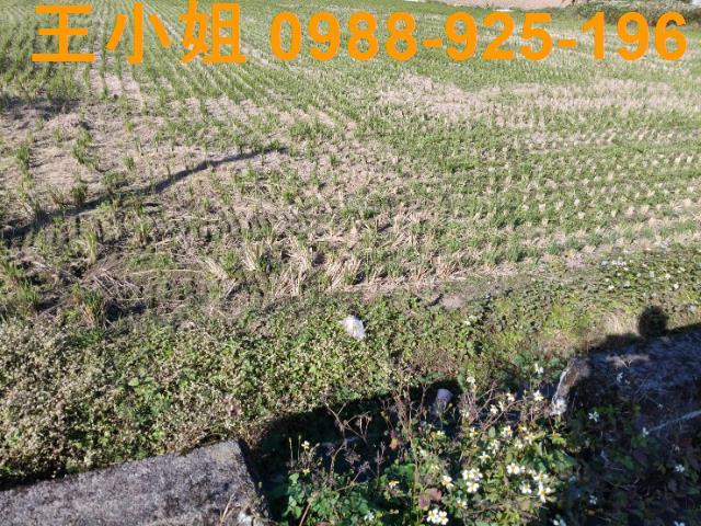 桃園大溪農地-4