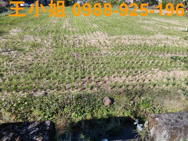 桃園大溪農地-5