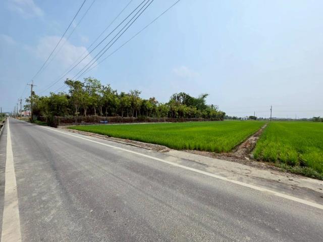 台南六甲農地-3