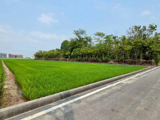 台南六甲農地-7