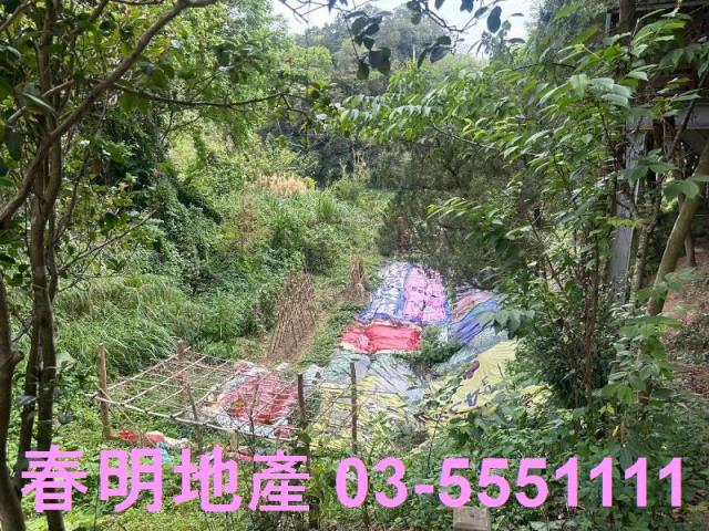 新竹湖口農地建地徵收地重劃地房屋買賣租賃