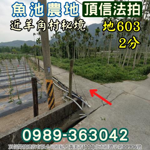 魚池農地法拍-0