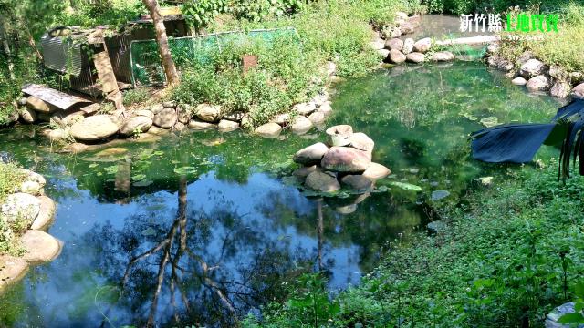 8G167卓蘭休閒田林