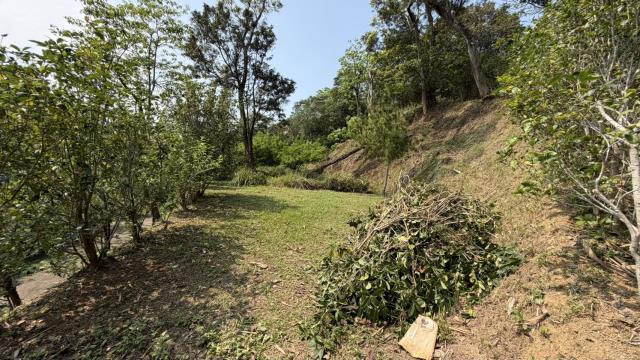 新竹北埔農地-10