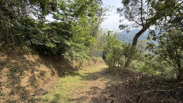 新竹北埔農地-13