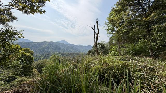 新竹北埔農地-5