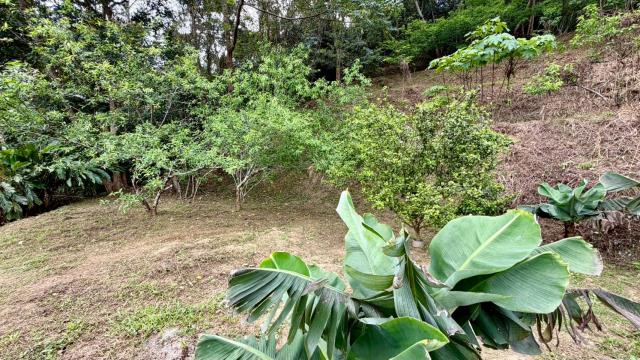 新竹北埔農地-9