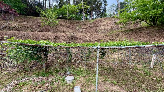 新竹土地農地休閒地