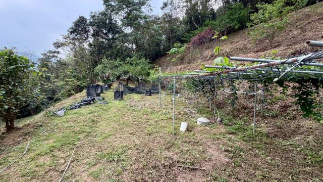 新竹北埔農地-1