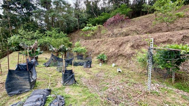 新竹北埔農地-3