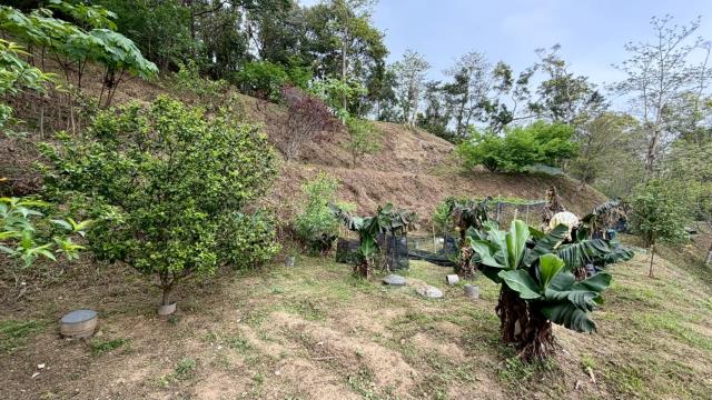 新竹北埔農地-4