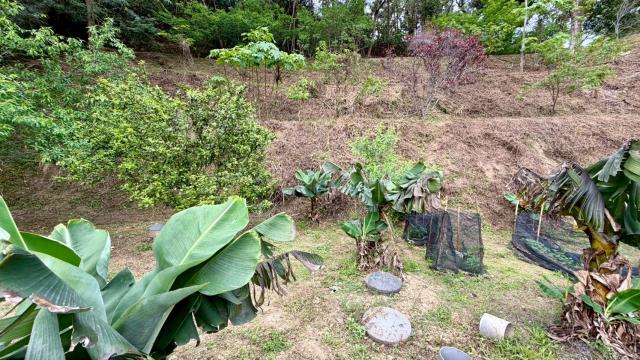 新竹北埔農地-7