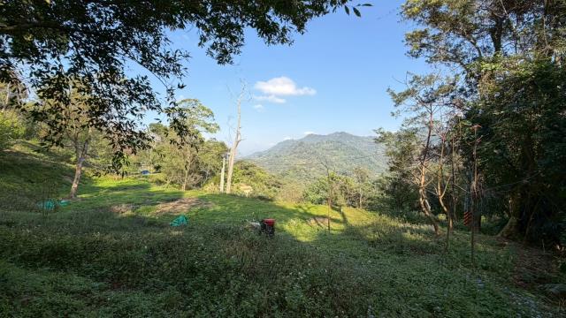 新竹北埔農地-1