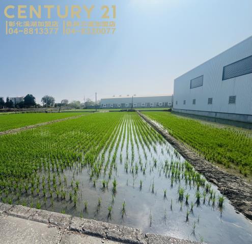 彰化溪湖埔鹽埤頭二林秀水福興建地工業用地田地農地店面透天別墅