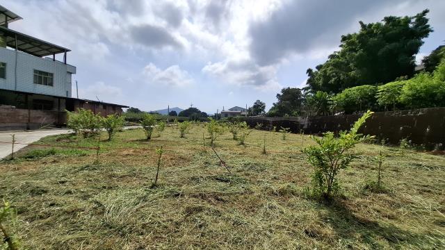 台中石岡農地-3