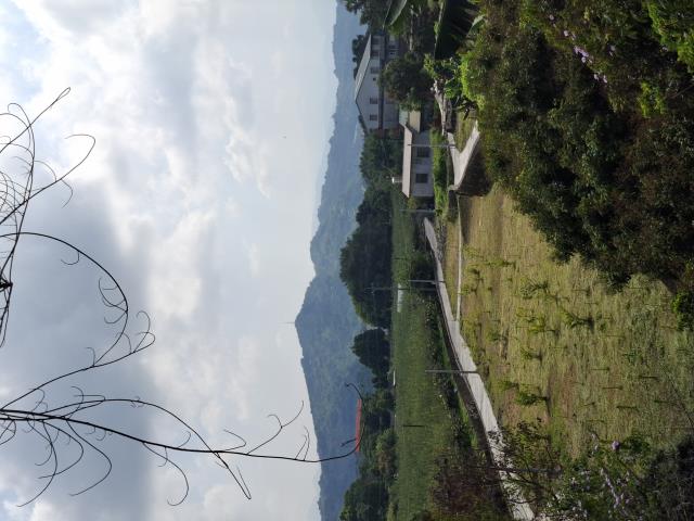 台中石岡農地-7