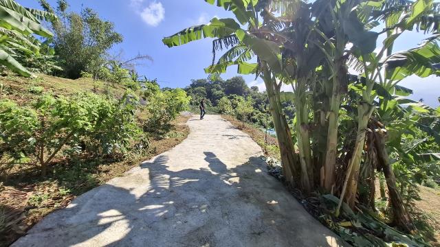 台中東勢農地-8