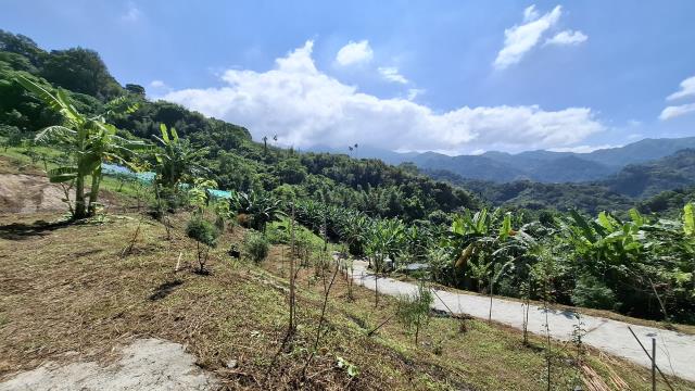 台中東勢農地-9