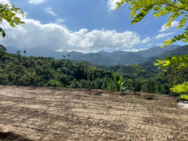 台中市東勢區石角小段柿子園