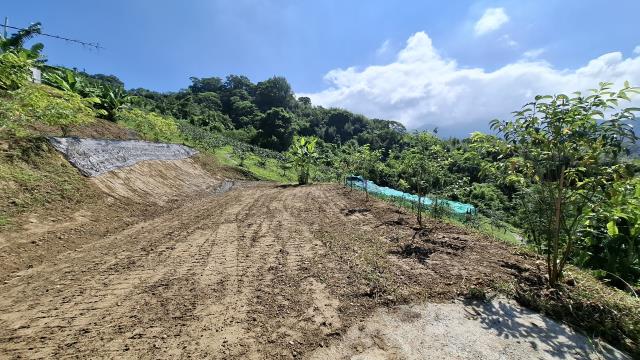 台中東勢農地-4