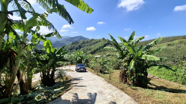 台中東勢農地-6