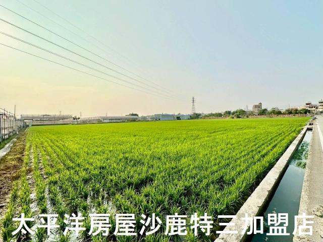 大肚農地-2